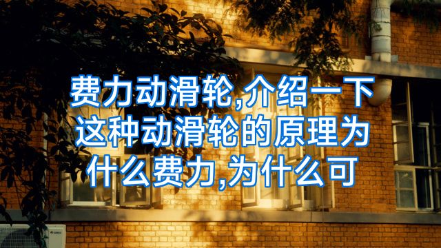 费力动滑轮,介绍一下这种动滑轮的原理为什么费力,为什么可