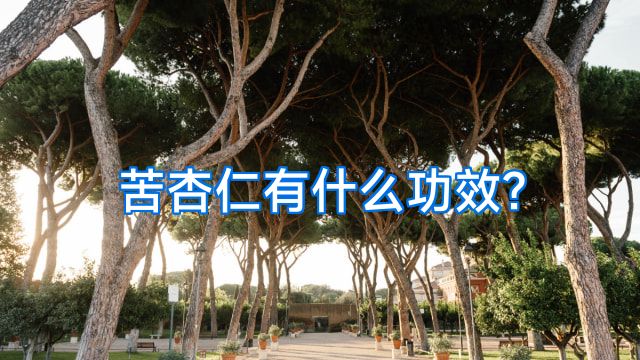 苦杏仁有什么功效?