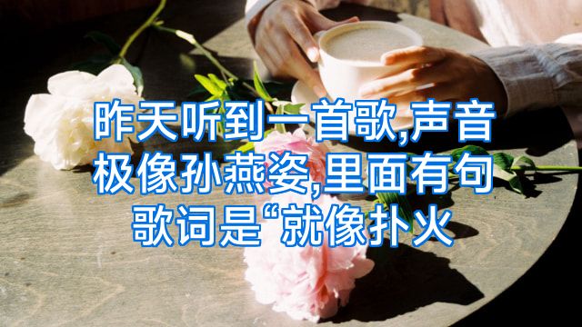 昨天听到一首歌,声音极像孙燕姿,里面有句歌词是“就像扑火