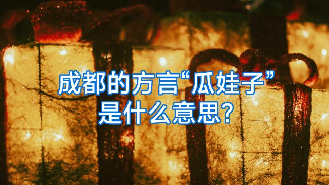 成都的方言“瓜娃子”是什么意思?