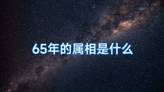 65年的属相是什么