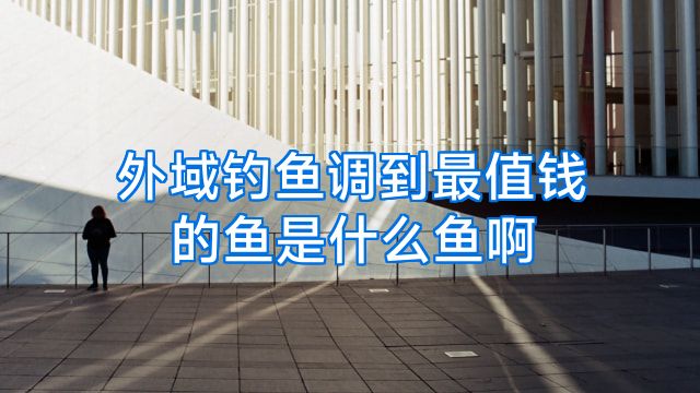 外域钓鱼调到最值钱的鱼是什么鱼啊