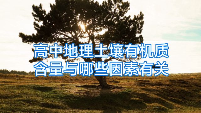 高中地理土壤有机质含量与哪些因素有关