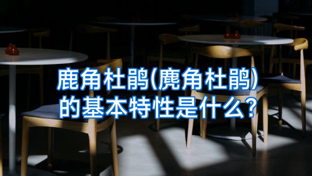 鹿角杜鹃(麂角杜鹃)的基本特性是什么?
