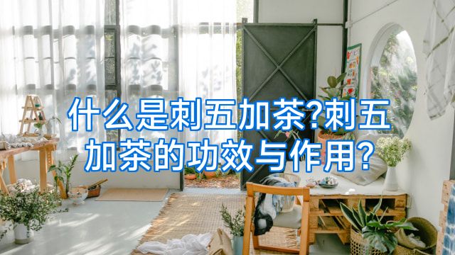 什么是刺五加茶?刺五加茶的功效与作用?