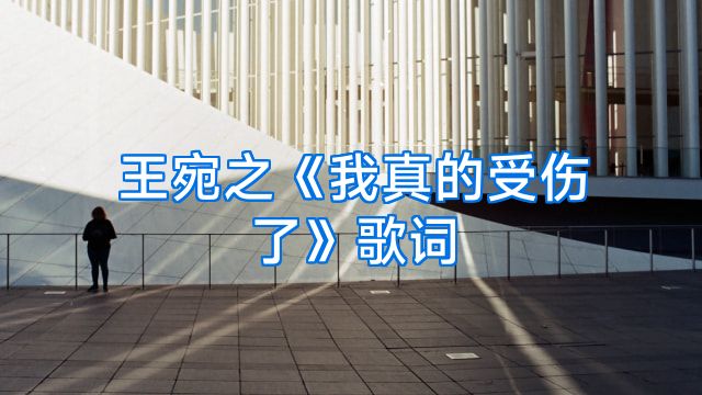 王宛之《我真的受伤了》歌词
