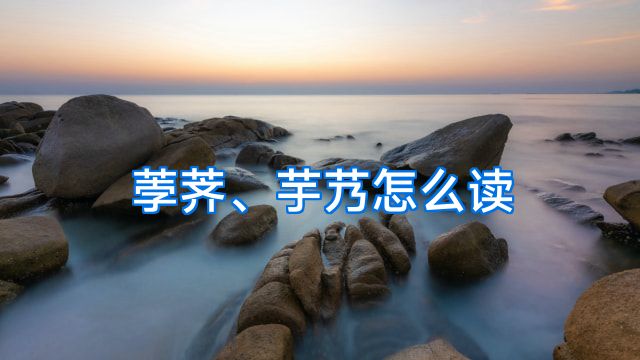 荸荠、芋艿怎么读