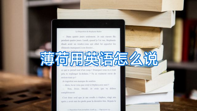 薄荷用英语怎么说
