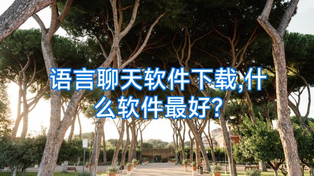 语言聊天软件下载,什么软件最好?