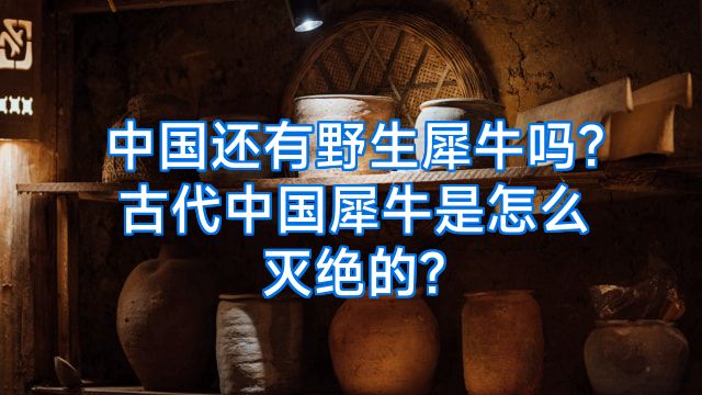 中国还有野生犀牛吗?古代中国犀牛是怎么灭绝的?