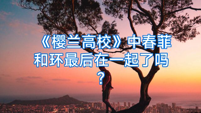 《樱兰高校》中春菲和环最后在一起了吗?