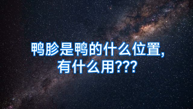鸭胗是鸭的什么位置,有什么用???