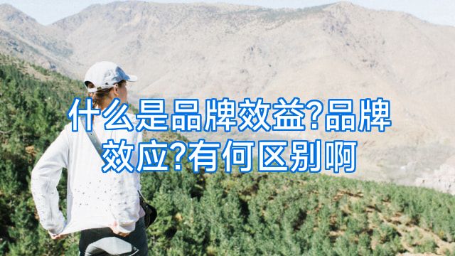 什么是品牌效益?品牌效应?有何区别啊