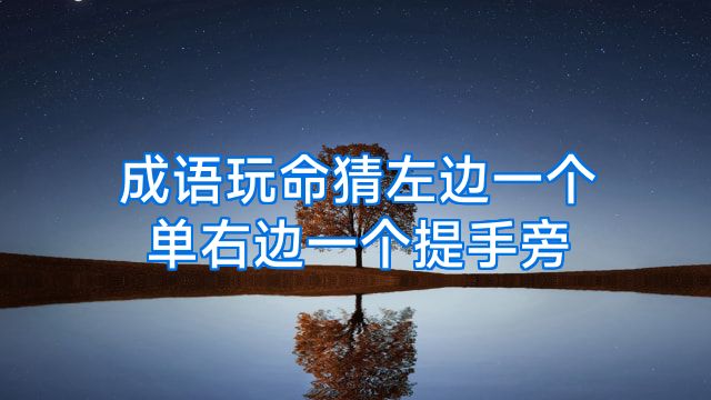 成语玩命猜左边一个单右边一个提手旁