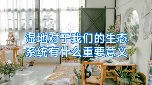 湿地对于我们的生态系统有什么重要意义