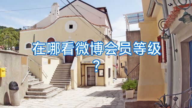 在哪看微博会员等级?