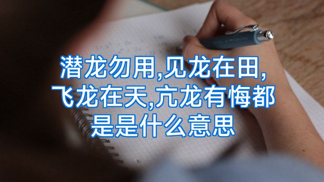 潜龙勿用,见龙在田,飞龙在天,亢龙有悔都是是什么意思