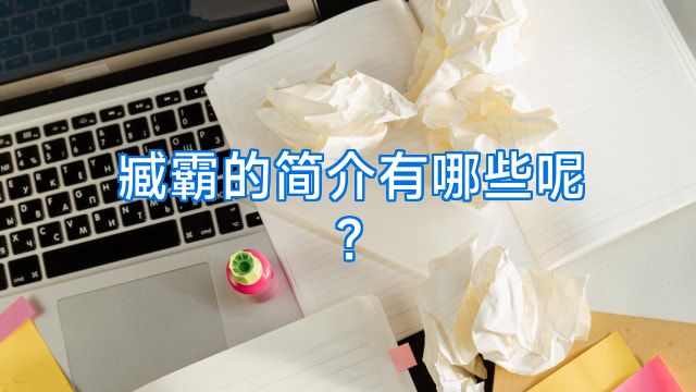 臧霸的简介有哪些呢?
