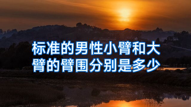 标准的男性小臂和大臂的臂围分别是多少