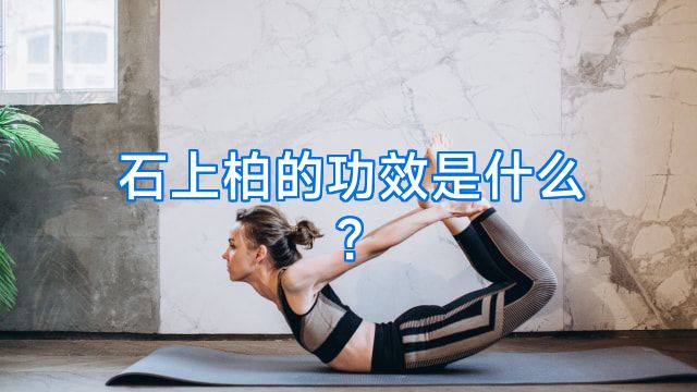 石上柏的功效是什么?