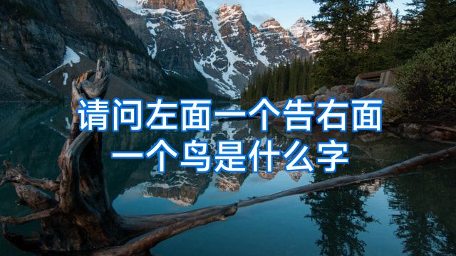 请问左面一个告右面一个鸟是什么字
