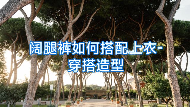 阔腿裤如何搭配上衣-穿搭造型