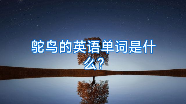 鸵鸟的英语单词是什么?