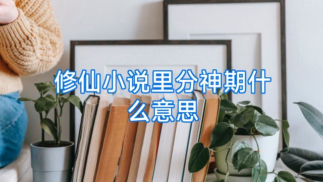 修仙小说里分神期什么意思