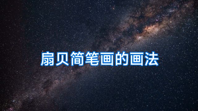扇贝简笔画的画法