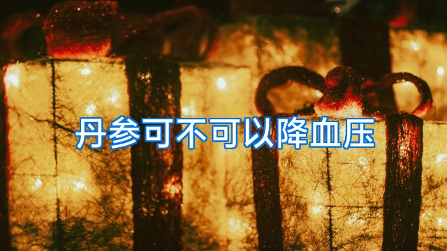 丹参可不可以降血压