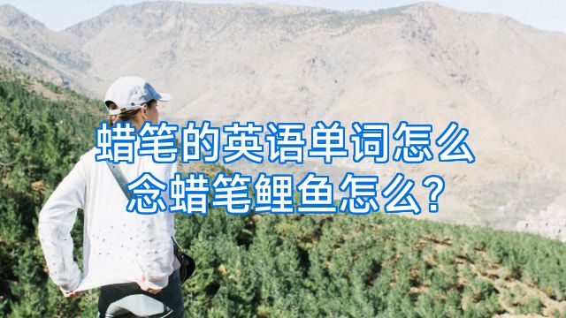 蜡笔的英语单词怎么念蜡笔鲤鱼怎么?