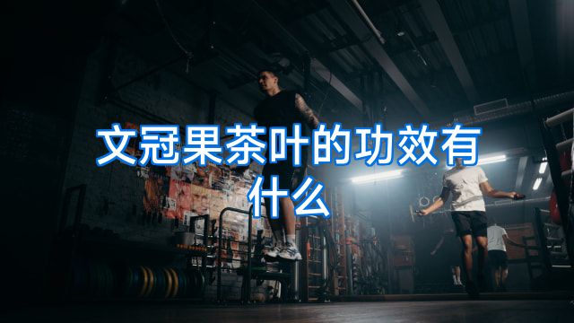 文冠果茶叶的功效有什么