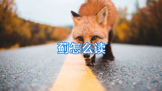 蓟怎么读
