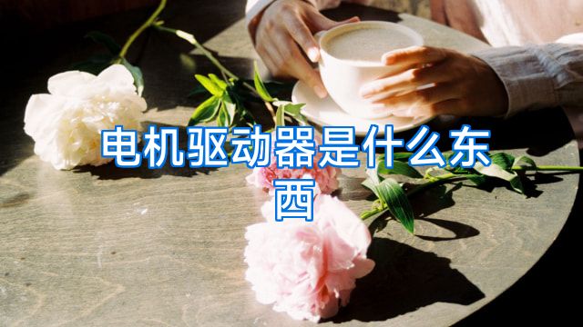 电机驱动器是什么东西