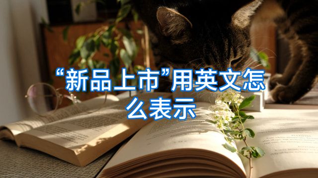 “新品上市”用英文怎么表示