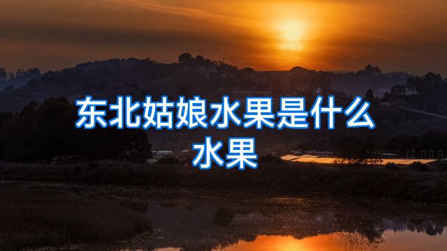 东北姑娘水果是什么水果