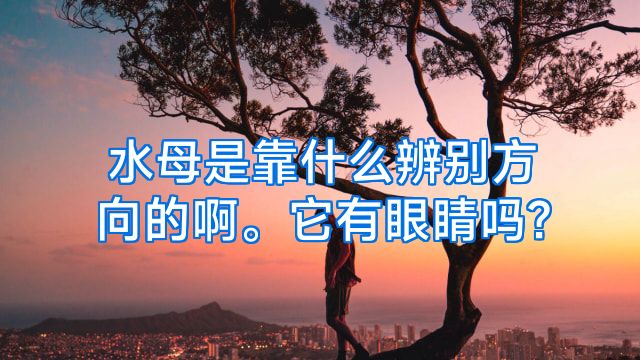 水母是靠什么辨别方向的啊。它有眼睛吗?