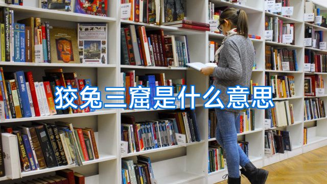 狡兔三窟是什么意思