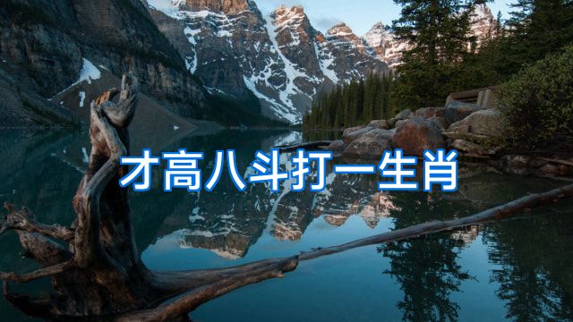 才高八斗打一生肖