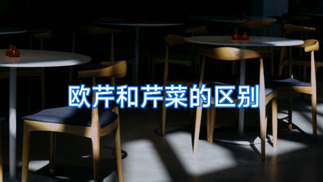 欧芹和芹菜的区别