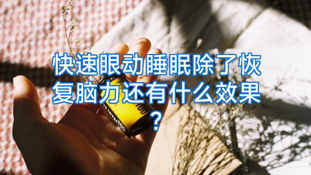 快速眼动睡眠除了恢复脑力还有什么效果?