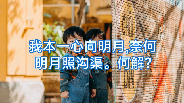 我本一心向明月,奈何明月照沟渠。何解?
