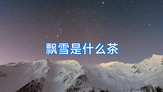 飘雪是什么茶