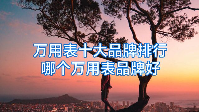 万用表十大品牌排行哪个万用表品牌好