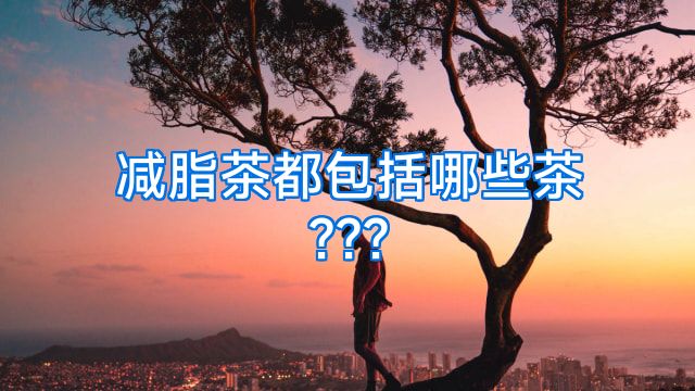 减脂茶都包括哪些茶???