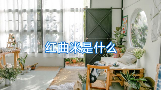 红曲米是什么