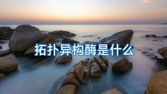 拓扑异构酶是什么