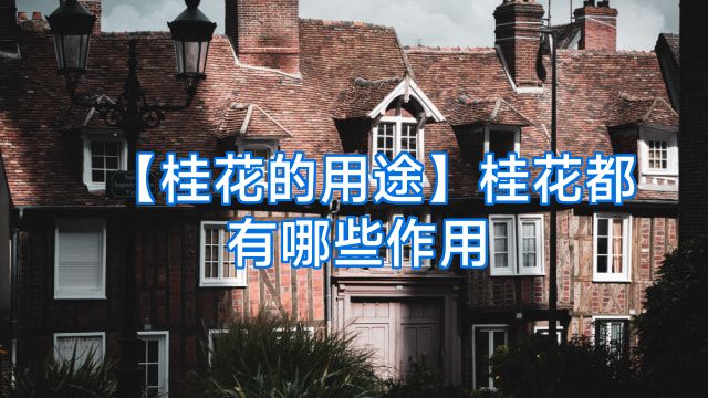 【桂花的用途】桂花都有哪些作用