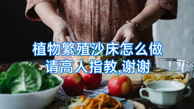 植物繁殖沙床怎么做请高人指教,谢谢