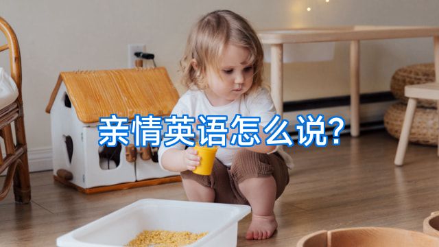 亲情英语怎么说?